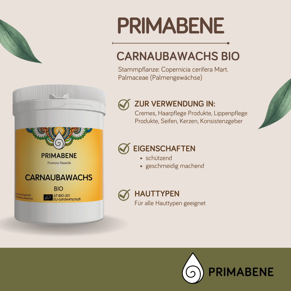 Bild von Carnaubawachs Bio